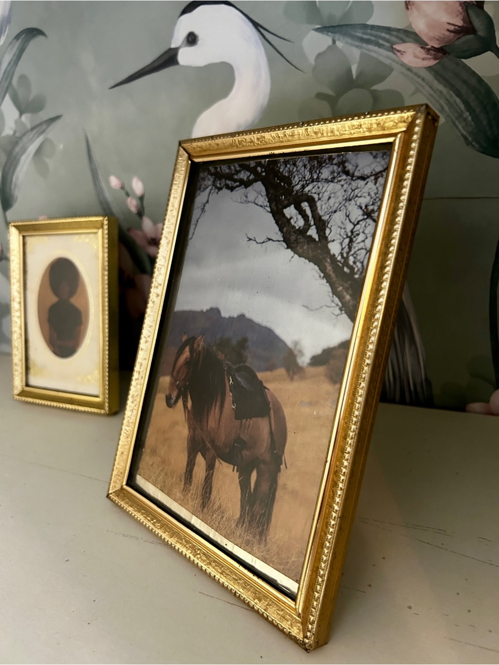 Matching Set of Vintage Gold Reeded Picture Frames featuring Magazine Art